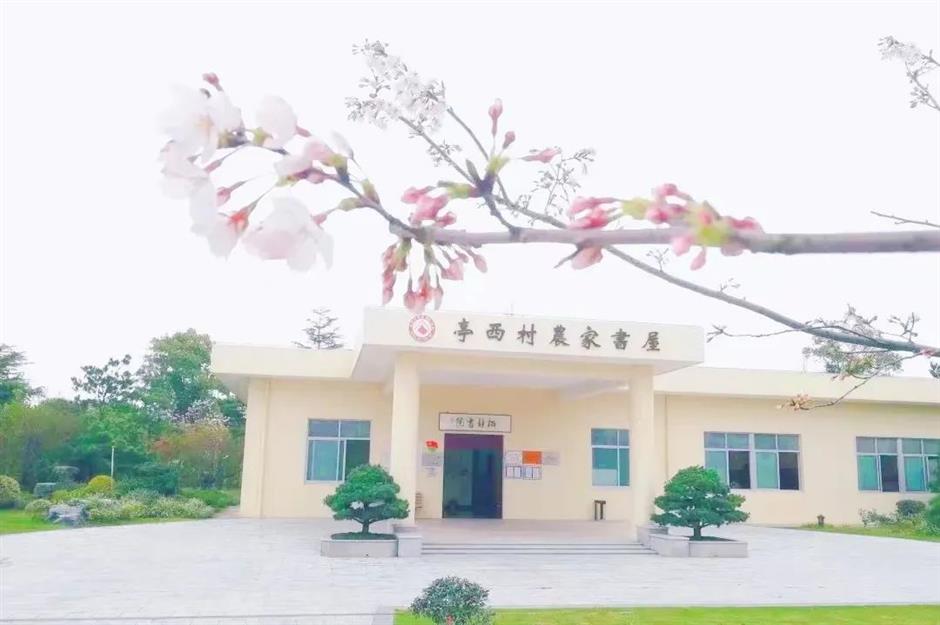 上海的这几个乡村,满是书香!你感受过吗?