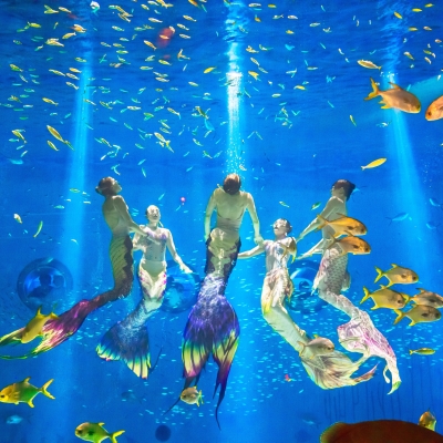 Male mermaids charm visitors at Shanghai Haichang Ocean Park