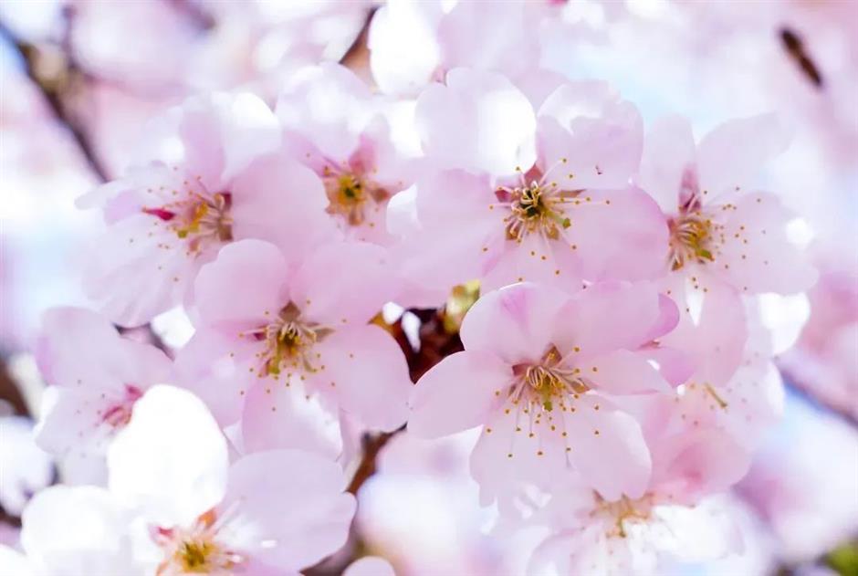 西岸美术馆又有亲子展览啦 — 