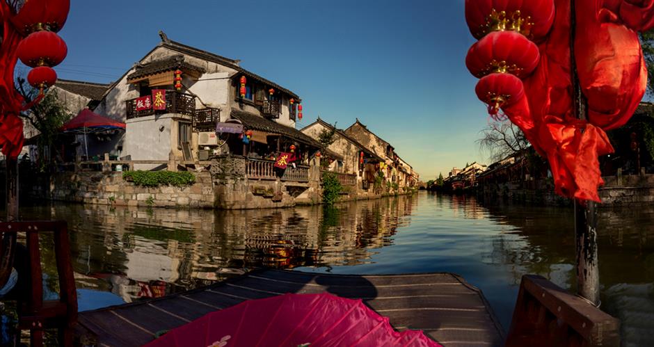 又一个春日顶流!金灿灿的它"上线"啦