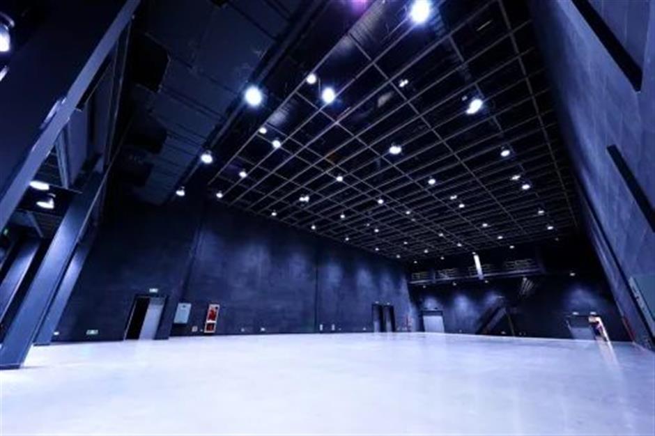 又一个春日顶流!金灿灿的它"上线"啦