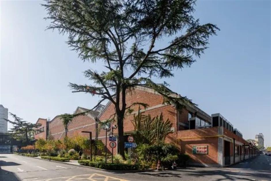 又一个春日顶流!金灿灿的它"上线"啦