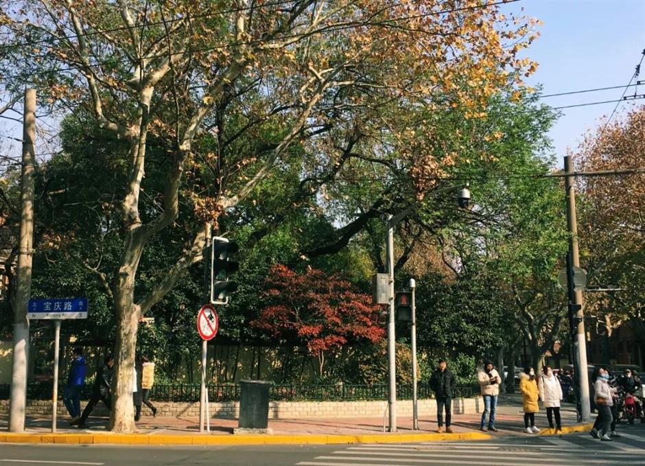 逛百年小馬路,看人間煙火氣