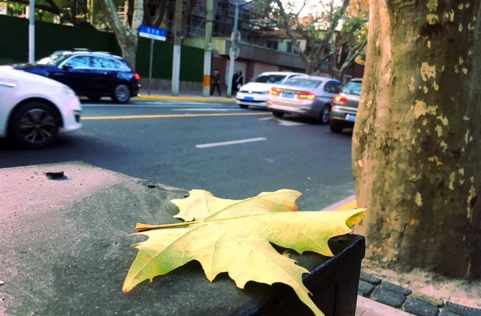 逛百年小馬路,看人間煙火氣