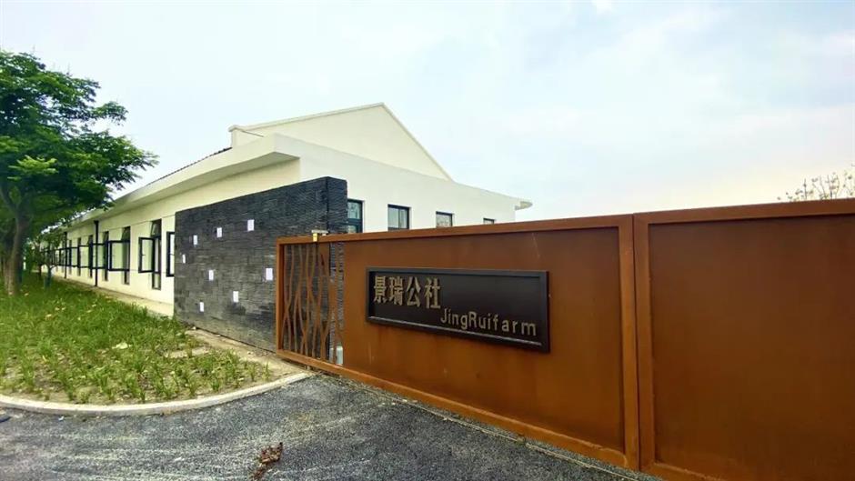 第一批上海市级乡村旅游重点村,宝山、嘉定这些地方上榜!