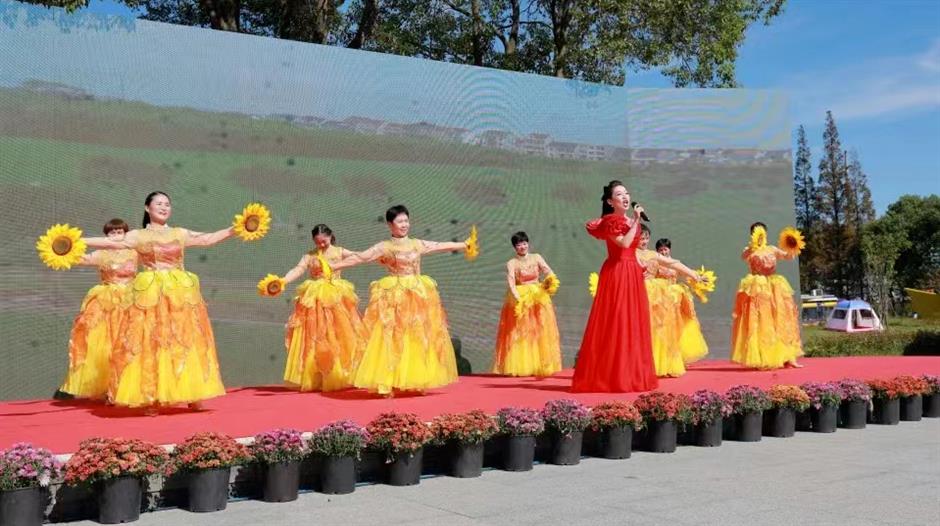 周末不止赏花!还可以徒步、骑行、放风筝……