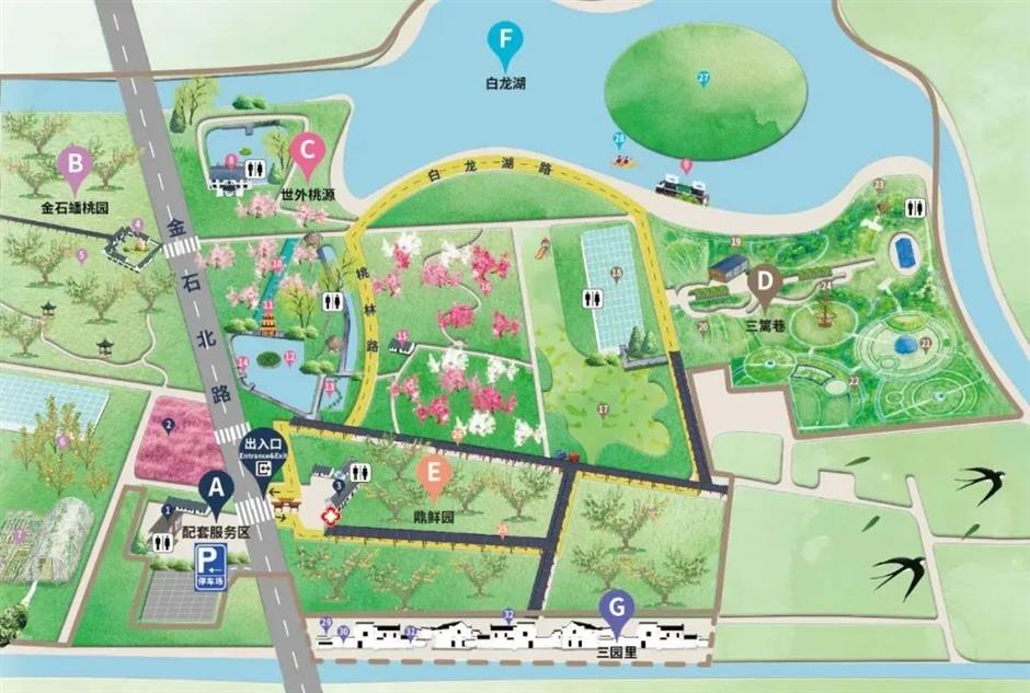 周末不止赏花!还可以徒步、骑行、放风筝……