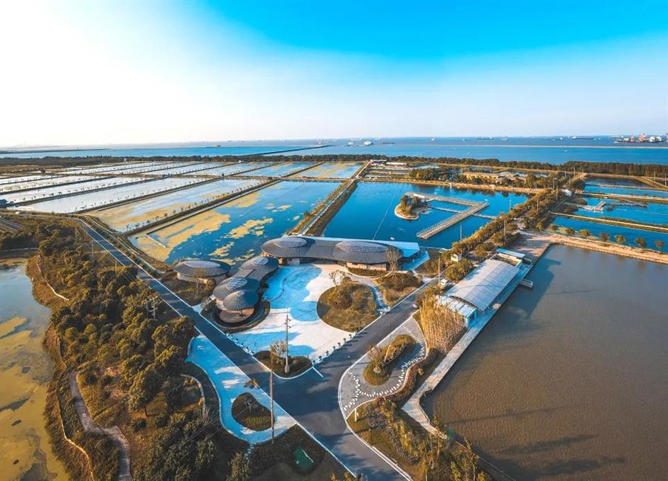 第一批上海市级乡村旅游重点村,宝山、嘉定这些地方上榜!