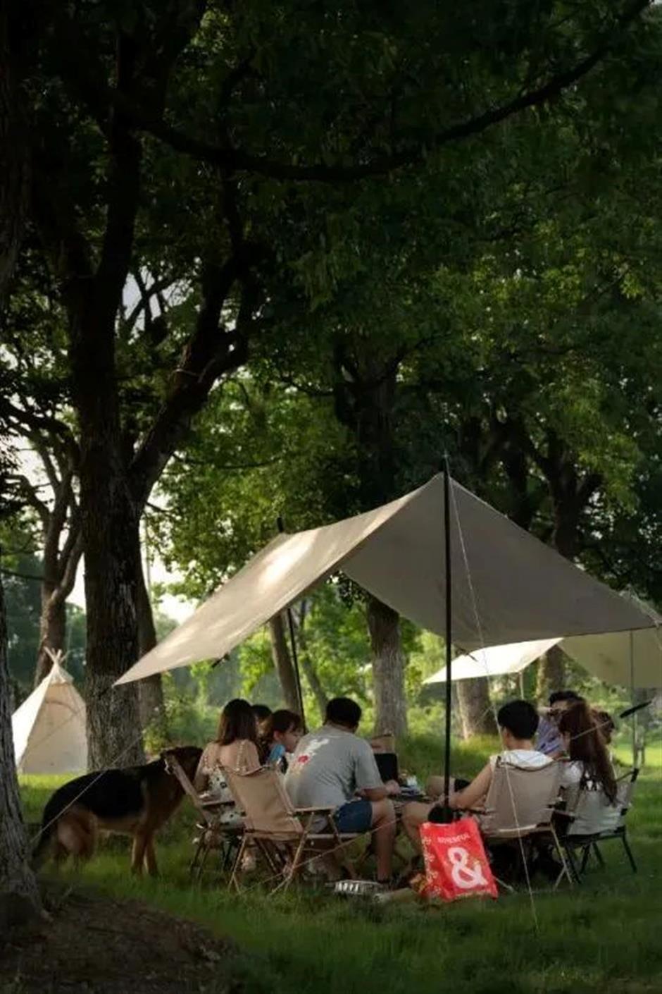 周末不止赏花!还可以徒步、骑行、放风筝……