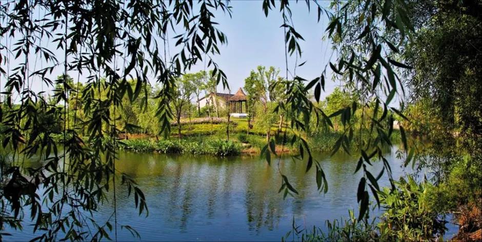 第一批上海市级乡村旅游重点村,宝山、嘉定这些地方上榜!