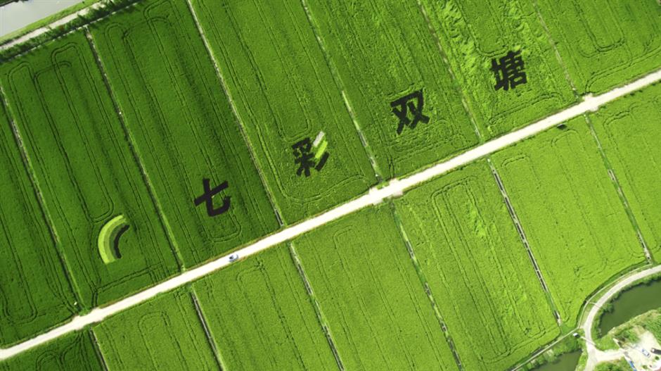 第一批上海市级乡村旅游重点村,宝山、嘉定这些地方上榜!