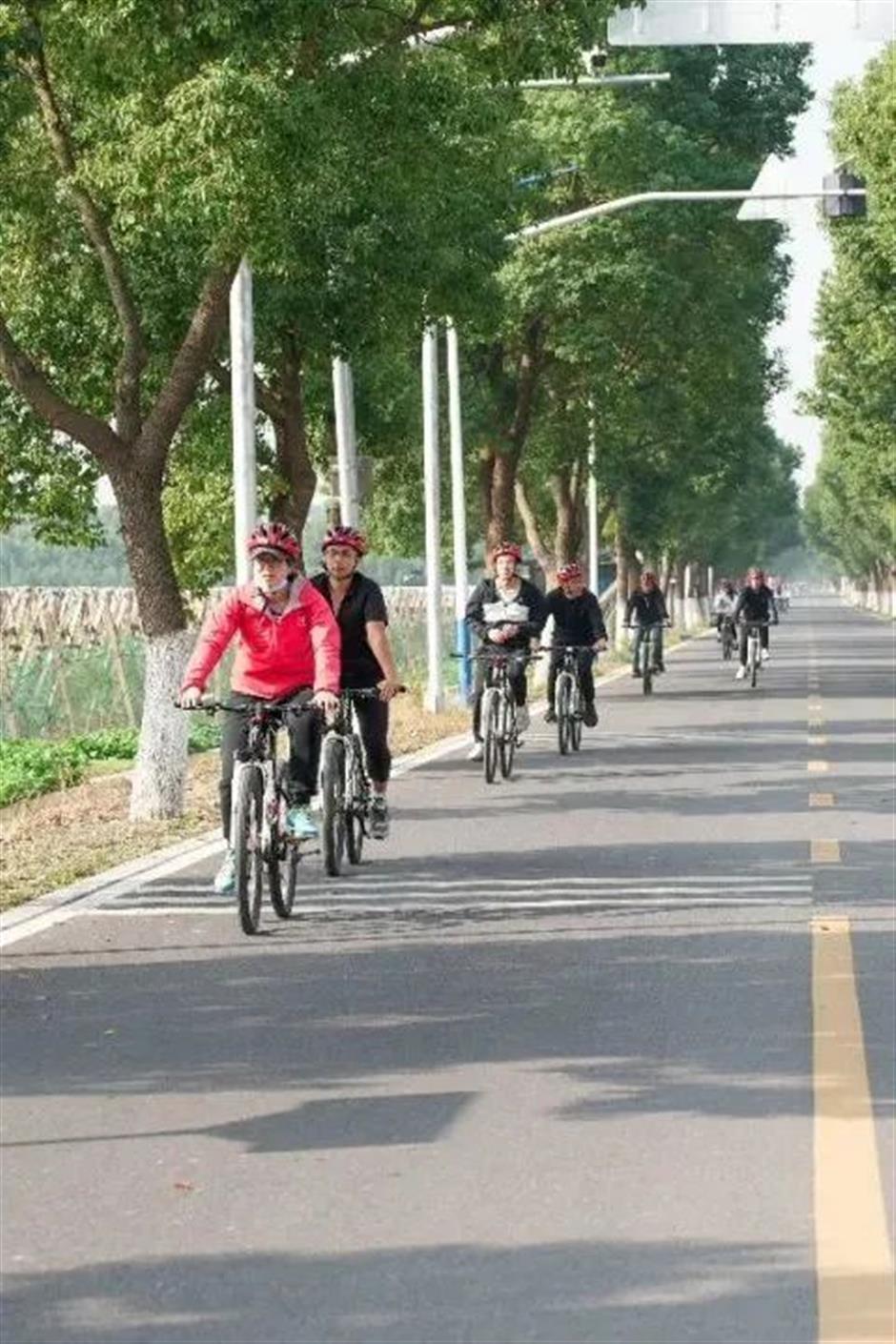 周末不止赏花!还可以徒步、骑行、放风筝……