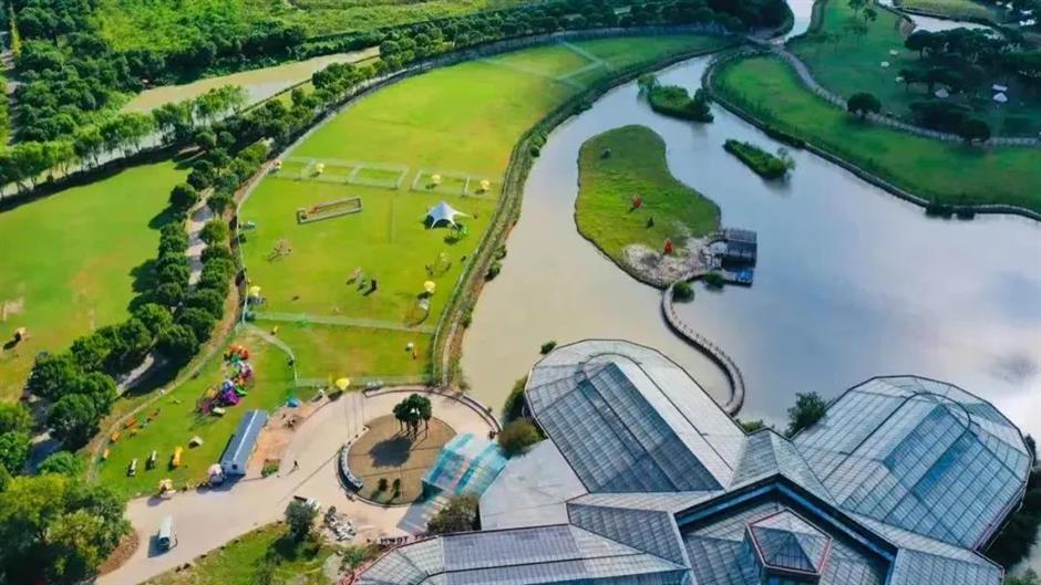 周末不止赏花!还可以徒步、骑行、放风筝……