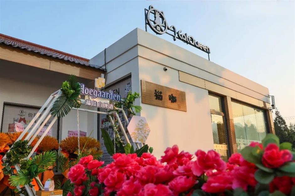 第一批上海市级乡村旅游重点村,宝山、嘉定这些地方上榜!