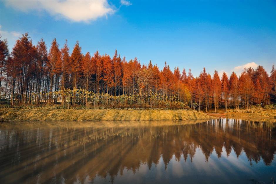 第一批上海市级乡村旅游重点村,宝山、嘉定这些地方上榜!
