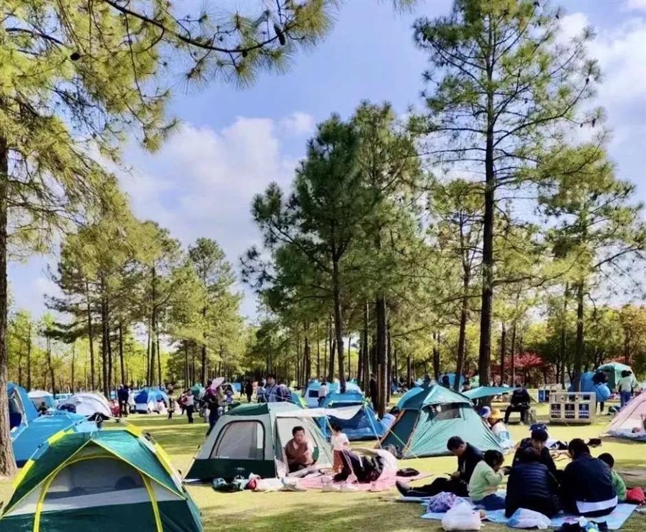 最美人間四月天,來賞花!