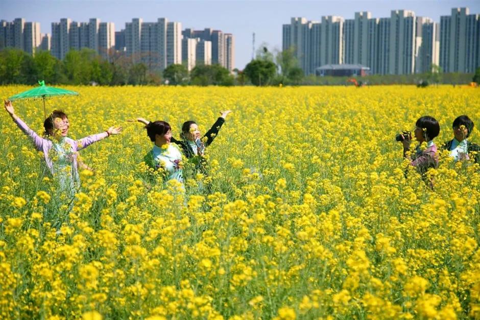 最美人間四月天,來賞花!