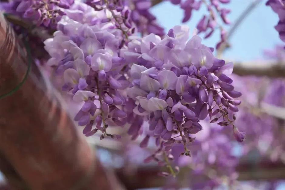 zzzzzzzzzzzzzzzzzzzzzz