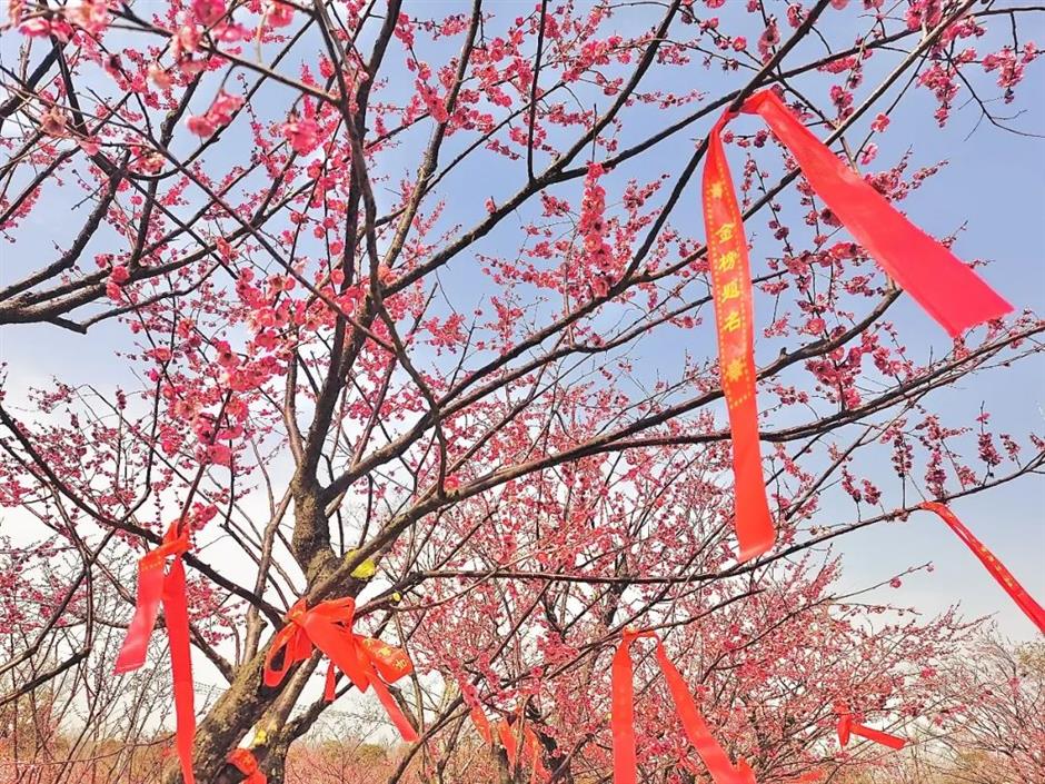 zzzzzzzzzzzzzzzzzzzzzz