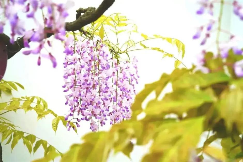 zzzzzzzzzzzzzzzzzzzzzz