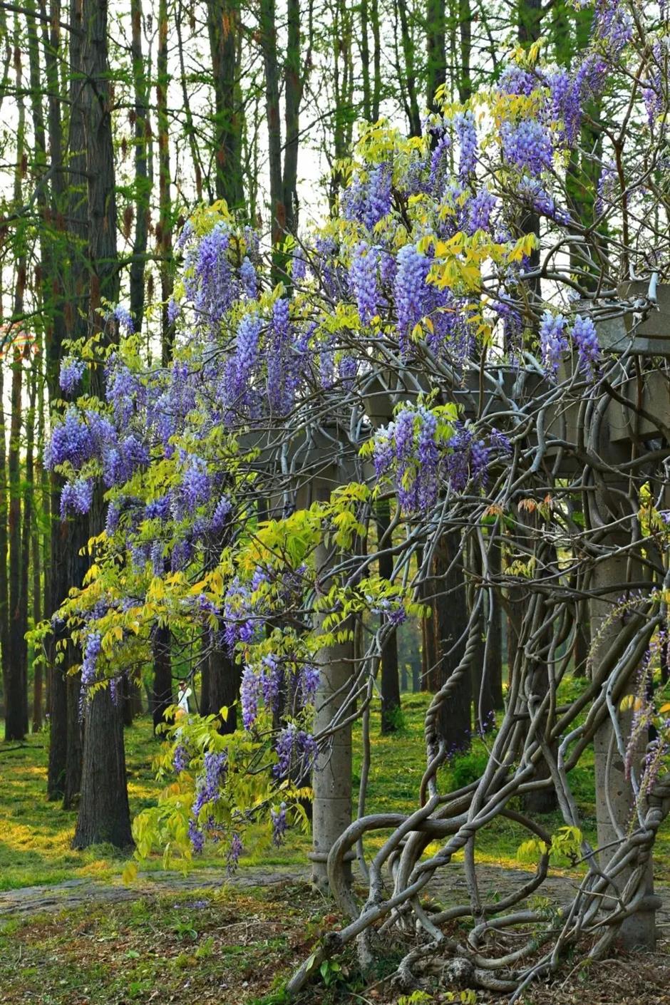 zzzzzzzzzzzzzzzzzzzzzz