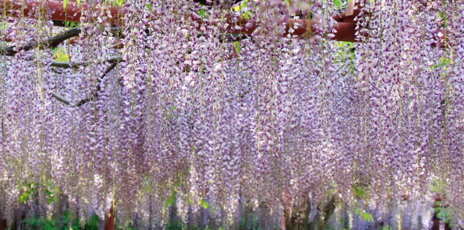 zzzzzzzzzzzzzzzzzzzzzz