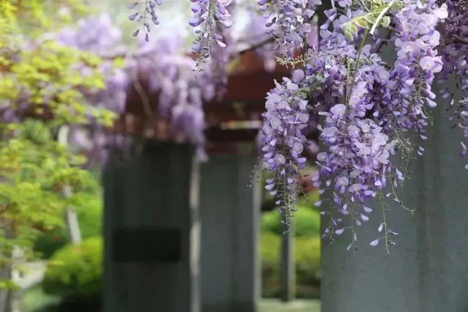 zzzzzzzzzzzzzzzzzzzzzz