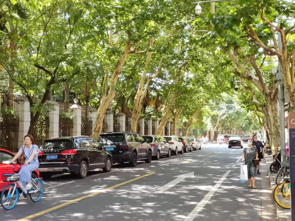 趁着春光尚好,去太原路看看那些老式花园洋房