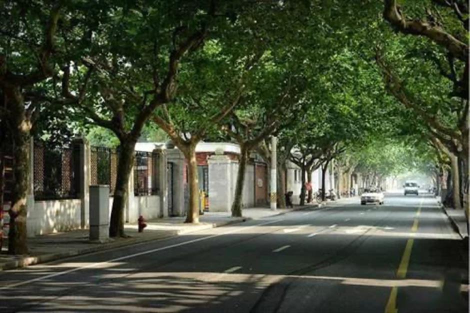 趁着春光尚好,去太原路看看那些老式花园洋房