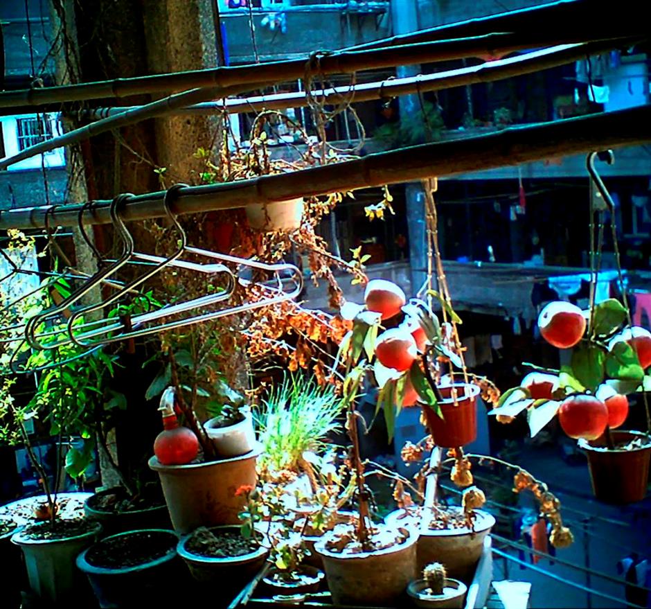 观看城市的新角度