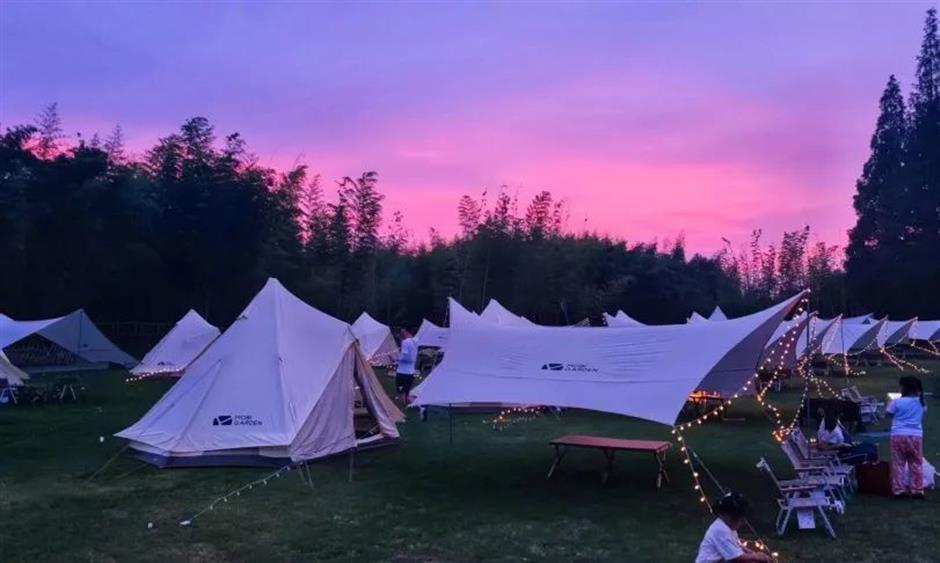 巨型花束、天使花墙、云雾花谷,五一假期这里繁花盛放!