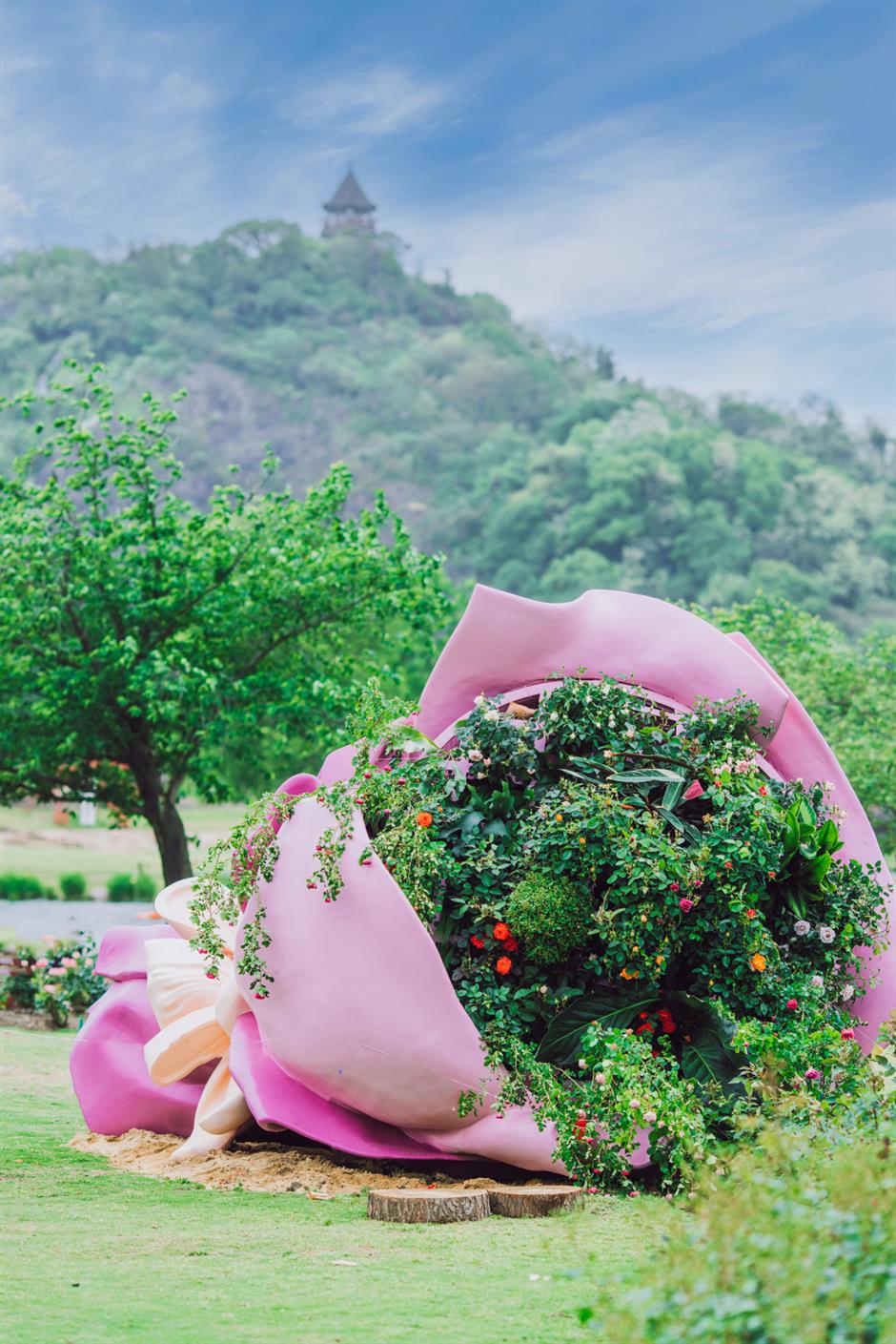 巨型花束、天使花墙、云雾花谷,五一假期这里繁花盛放!