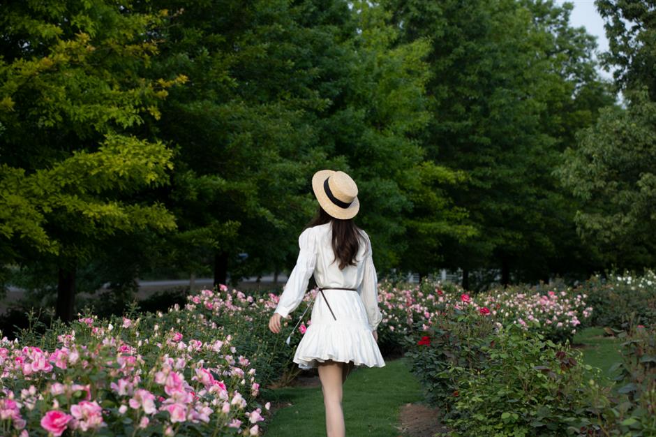 巨型花束、天使花墙、云雾花谷,五一假期这里繁花盛放!