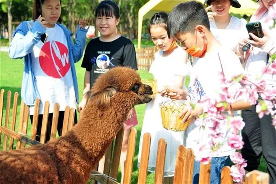 文旅部推荐!这些线路初夏也能体验