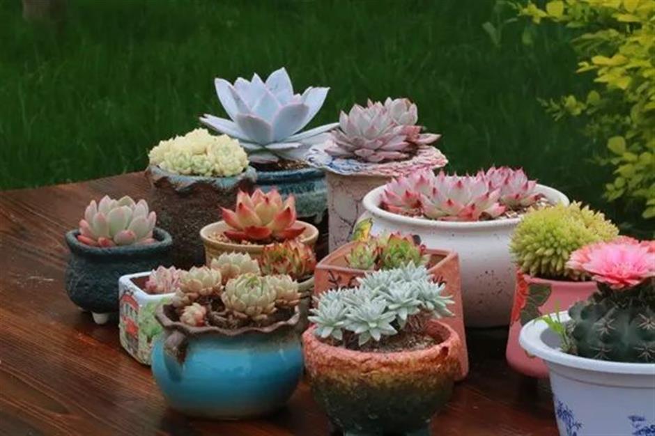 文旅部推荐!这些线路初夏也能体验