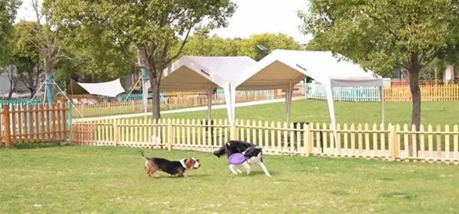 文旅部推荐!这些线路初夏也能体验