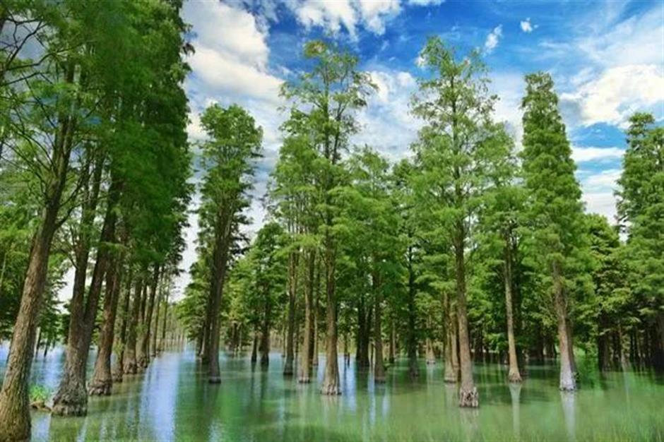 文旅部推荐!这些线路初夏也能体验