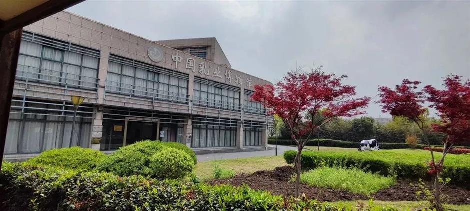 可能会让你涨体重的