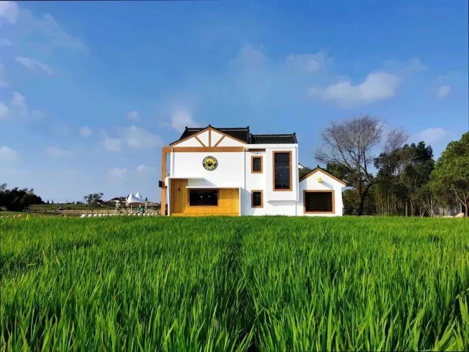 可能会让你涨体重的