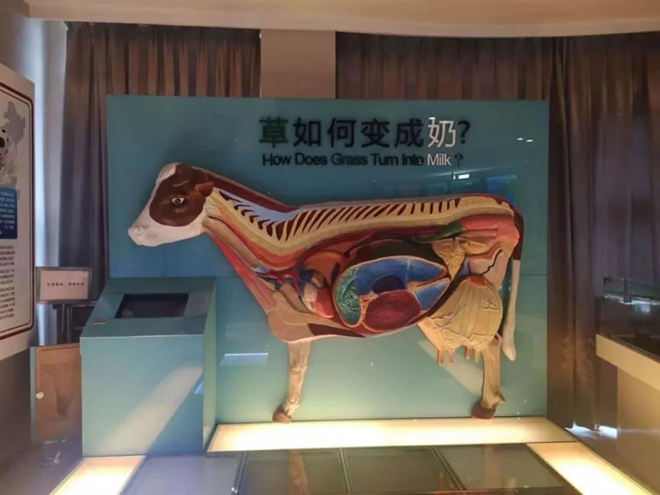 可能会让你涨体重的