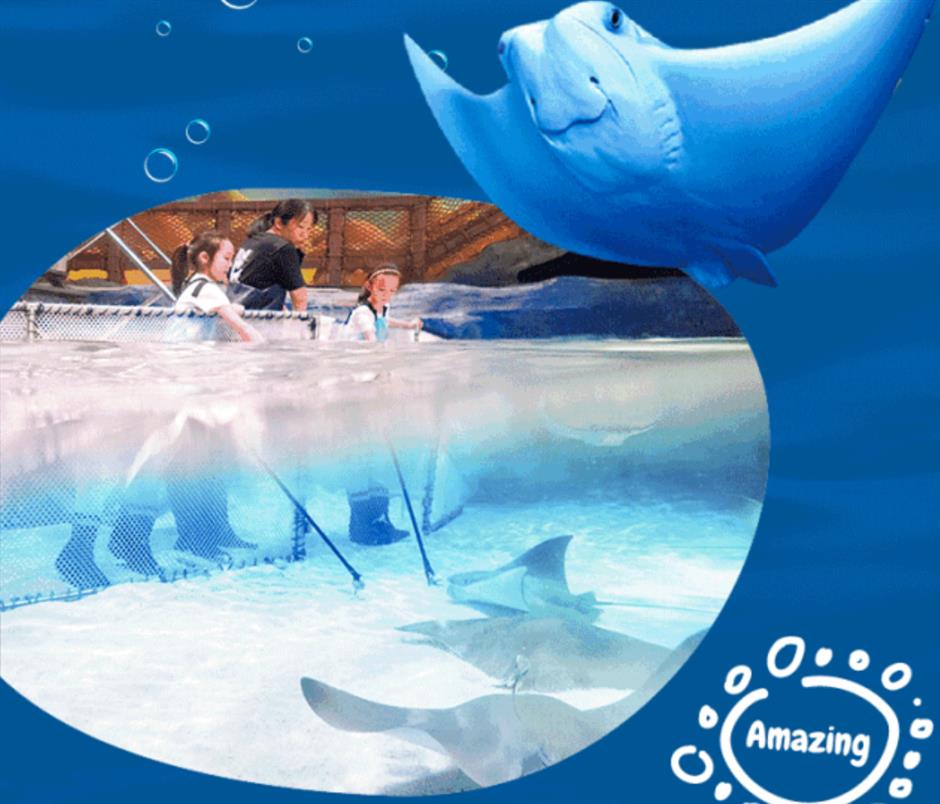 六一儿童节,上海这些景区活动缤纷,还有免费、特惠!