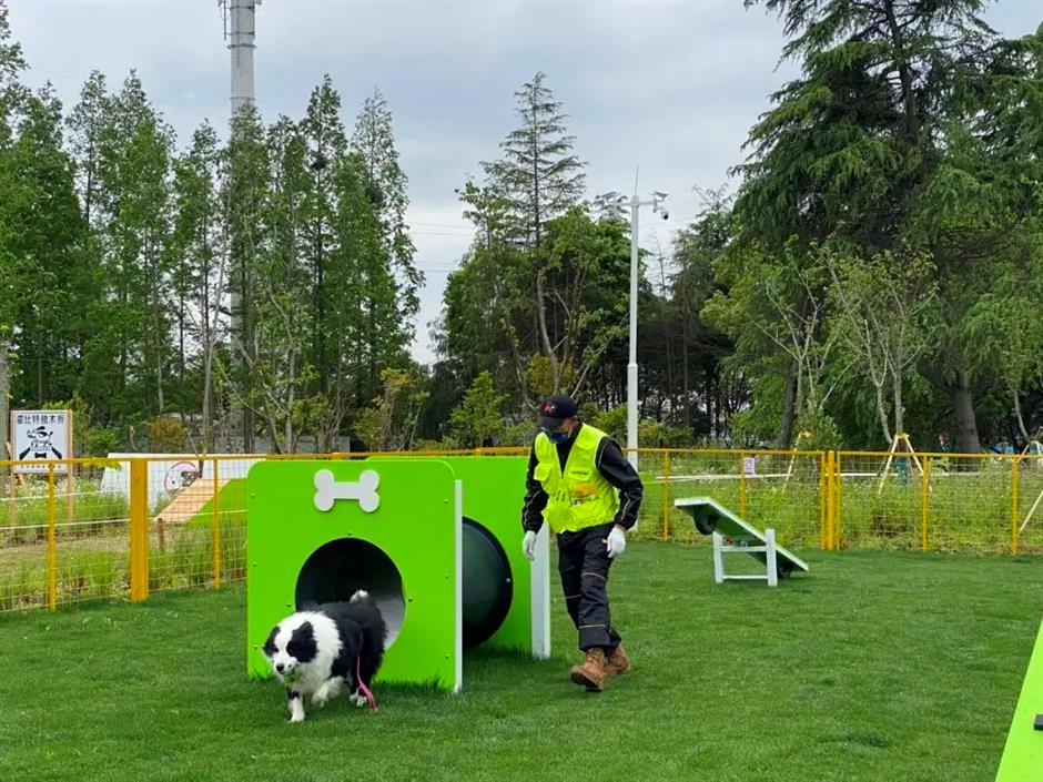 浦江郊野公園5.3公裏濱江岸線貫通!沿途打卡指南來了