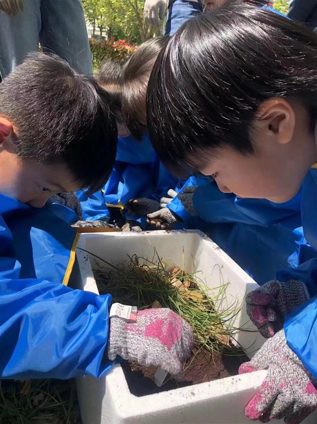 Coaxing kids outdoors by dangling an elfish leaf before them