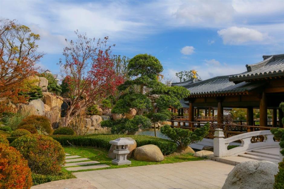 今起對公眾開放!上海這座古風園林美出圈了