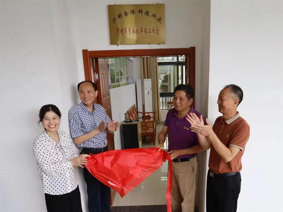 Shanghai participates in hybrid rice project that improves yields
