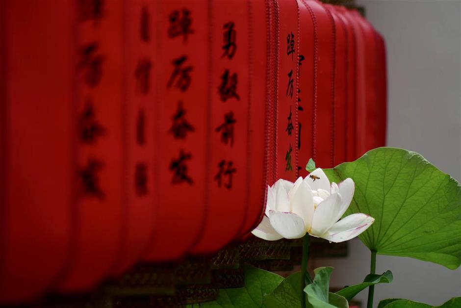 Head to Guyi Garden for a stunning display of lotus and water lilies