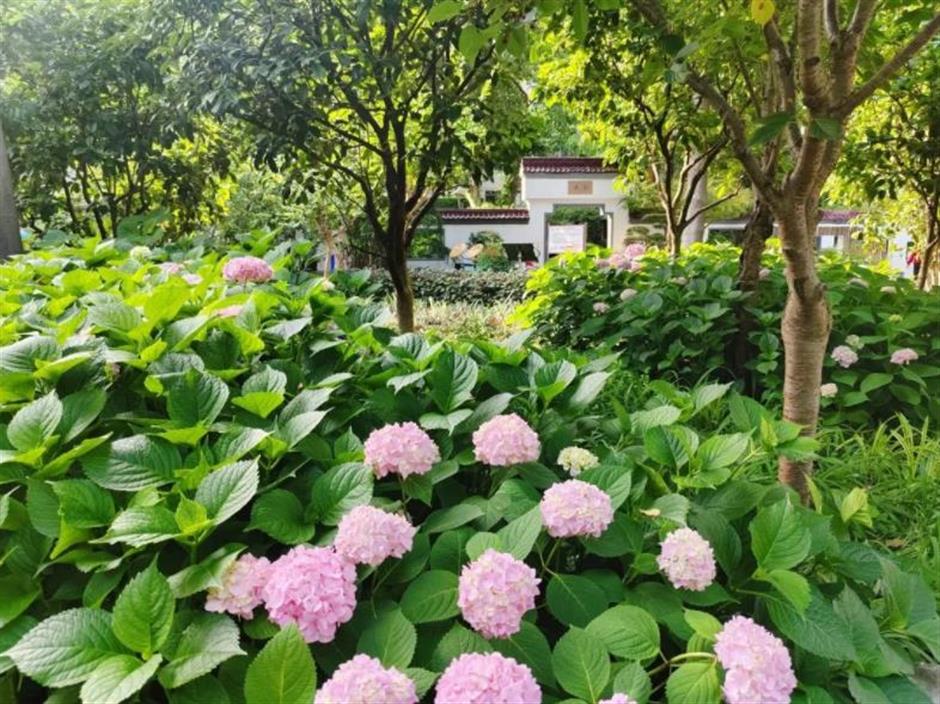 用一场多巴胺展,开启这条小马路的夏天