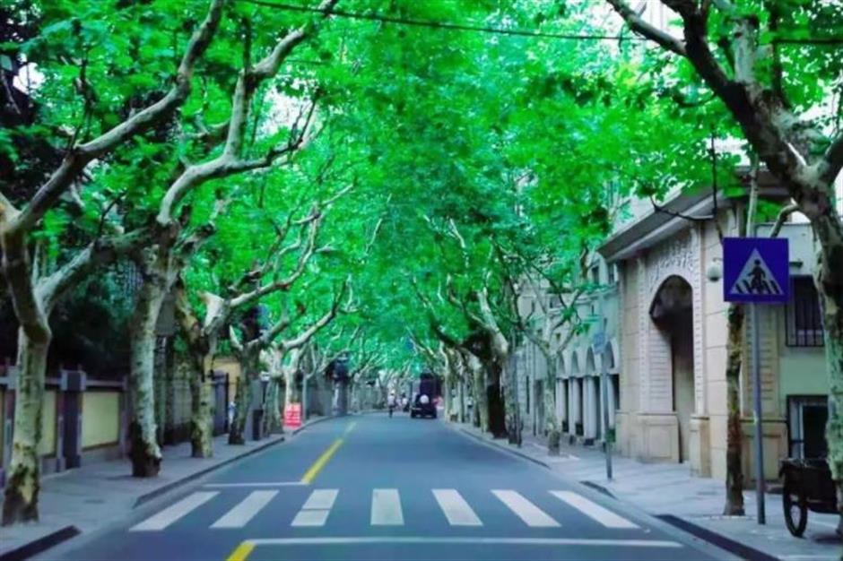 用一场多巴胺展,开启这条小马路的夏天