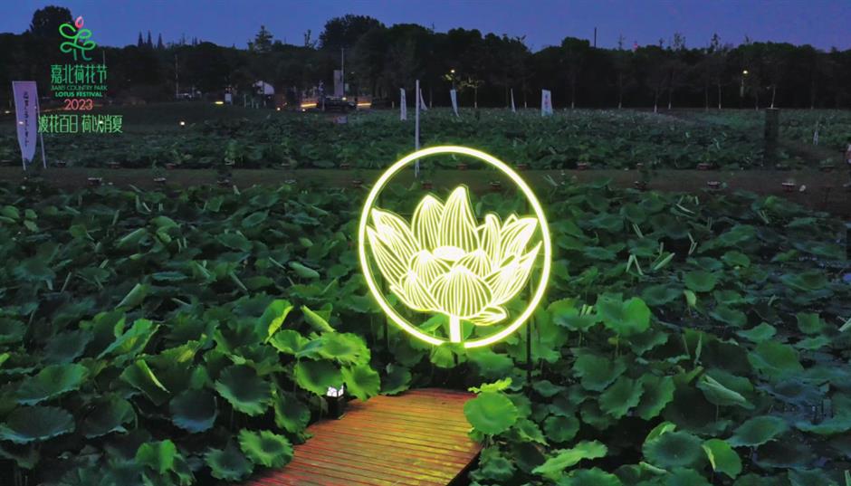 上海夏日避暑,首选绿意葱茏的郊野公园