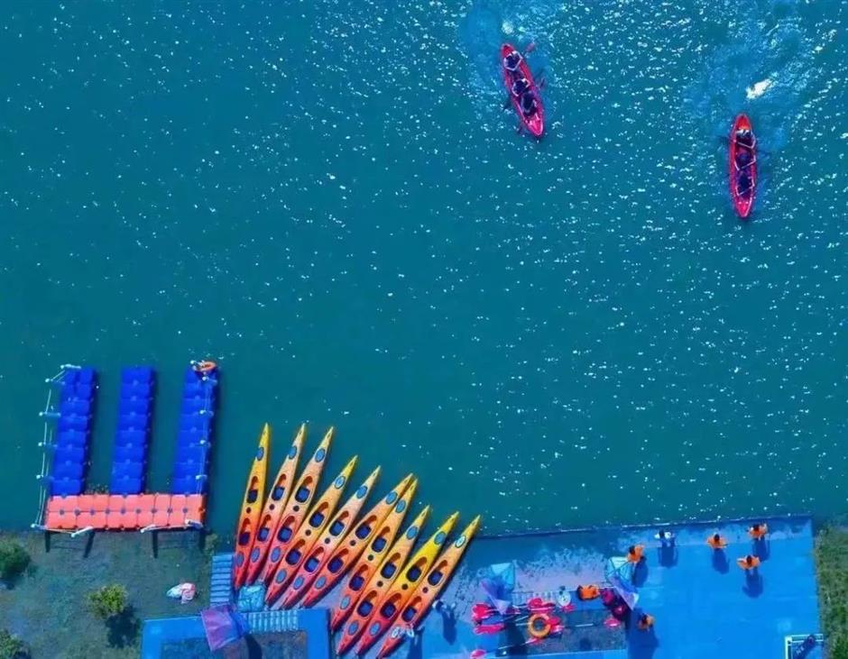 上海夏日避暑,首选绿意葱茏的郊野公园